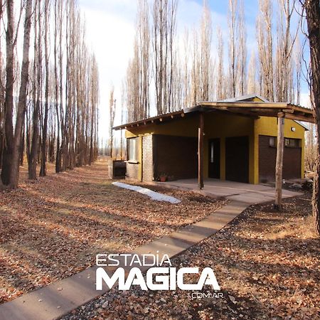 Cabañas Casa Bosque Malargüe Exterior foto