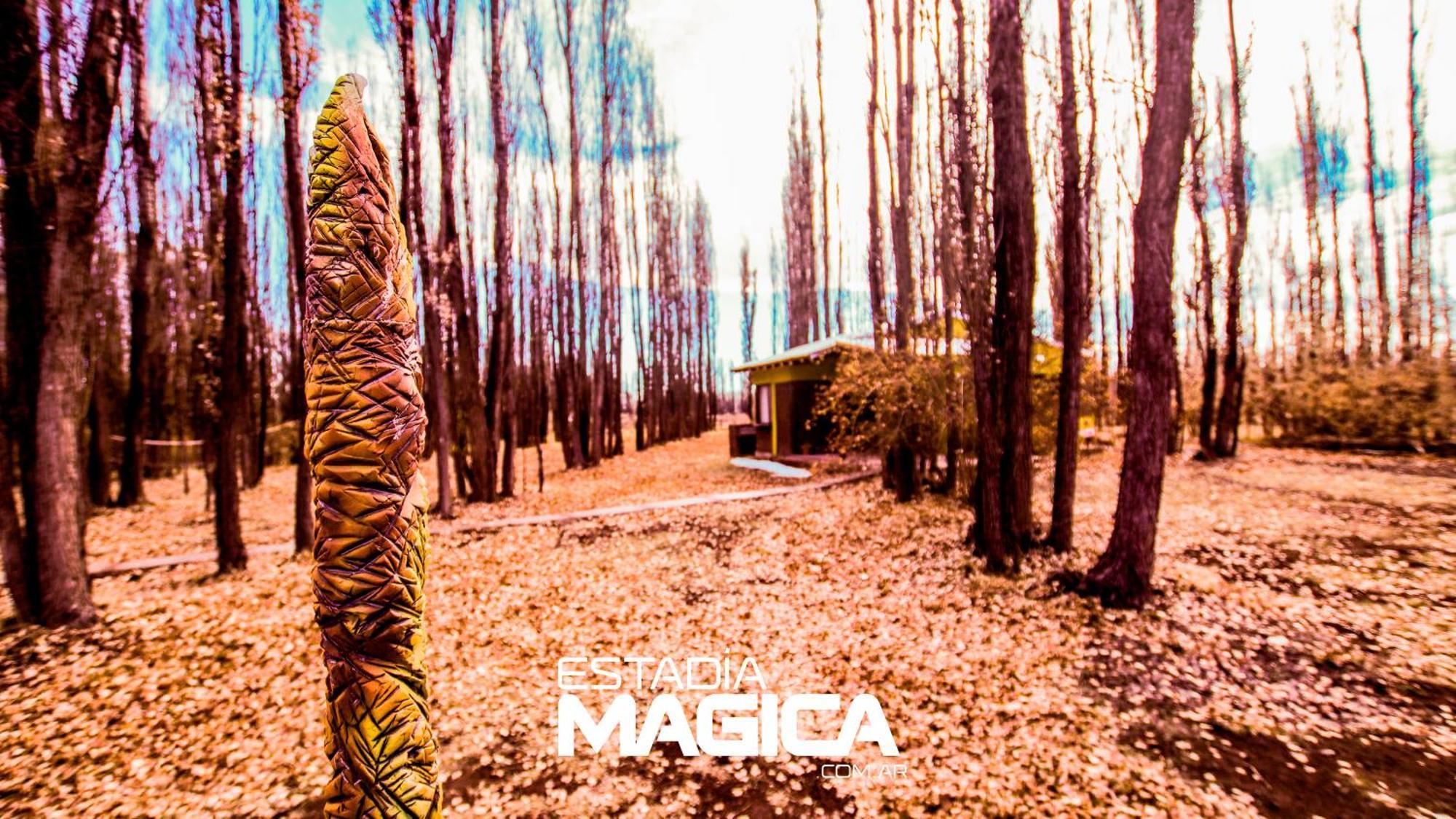 Cabañas Casa Bosque Malargüe Exterior foto