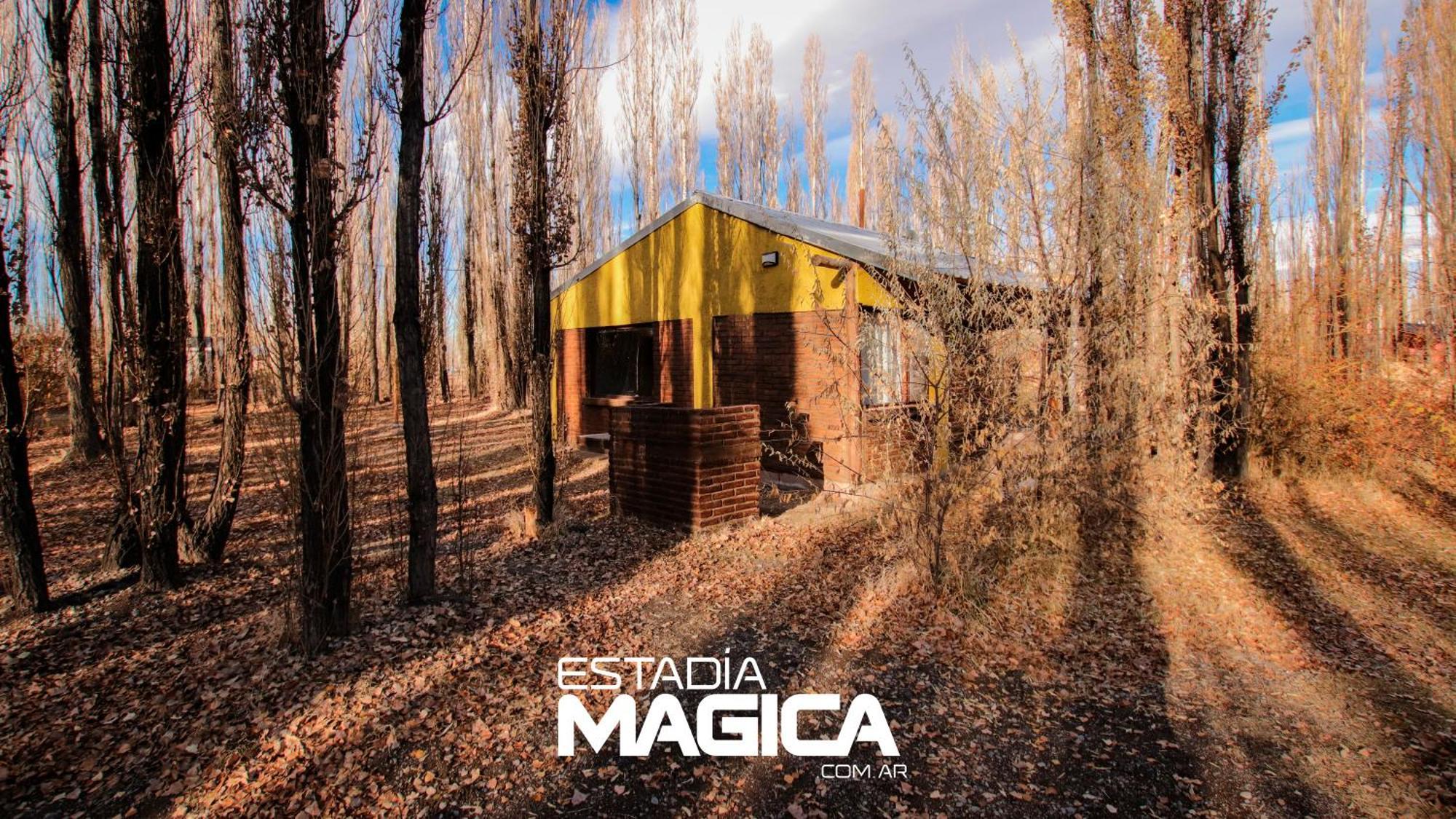 Cabañas Casa Bosque Malargüe Exterior foto