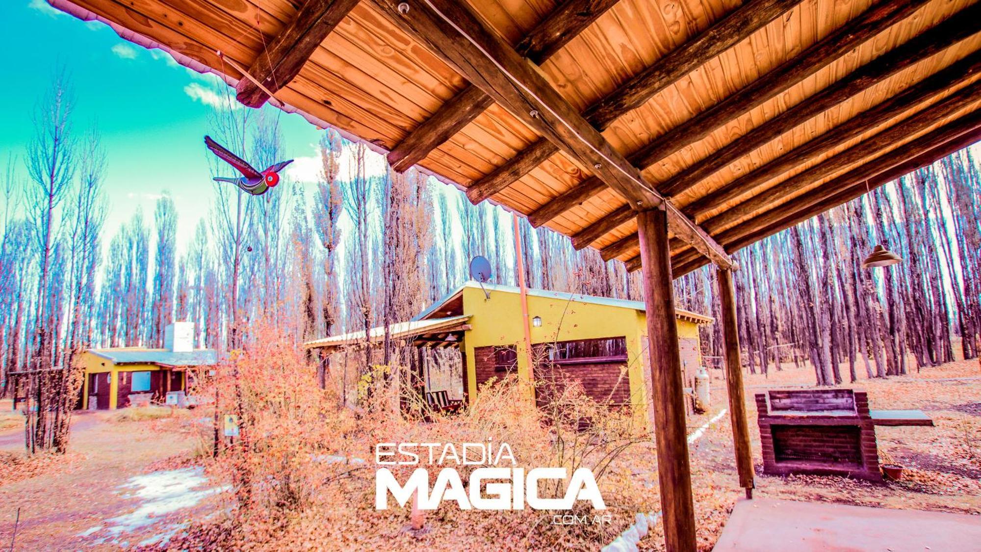 Cabañas Casa Bosque Malargüe Exterior foto